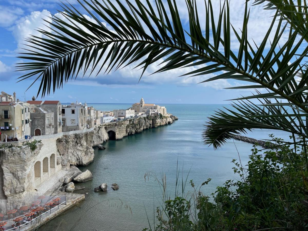 Ferienwohnung La Casaruccia Vieste Exterior foto