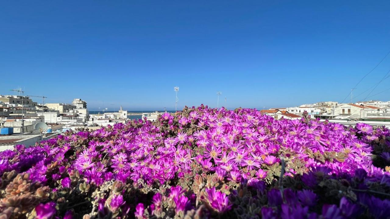 Ferienwohnung La Casaruccia Vieste Exterior foto